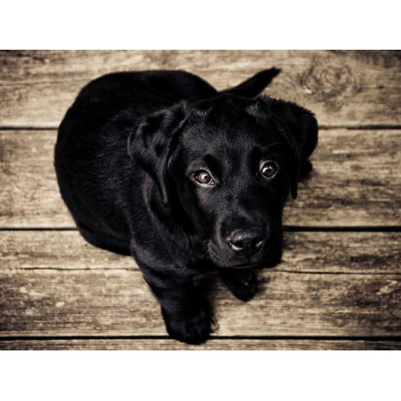 Sleek Copper Clock fr-FR